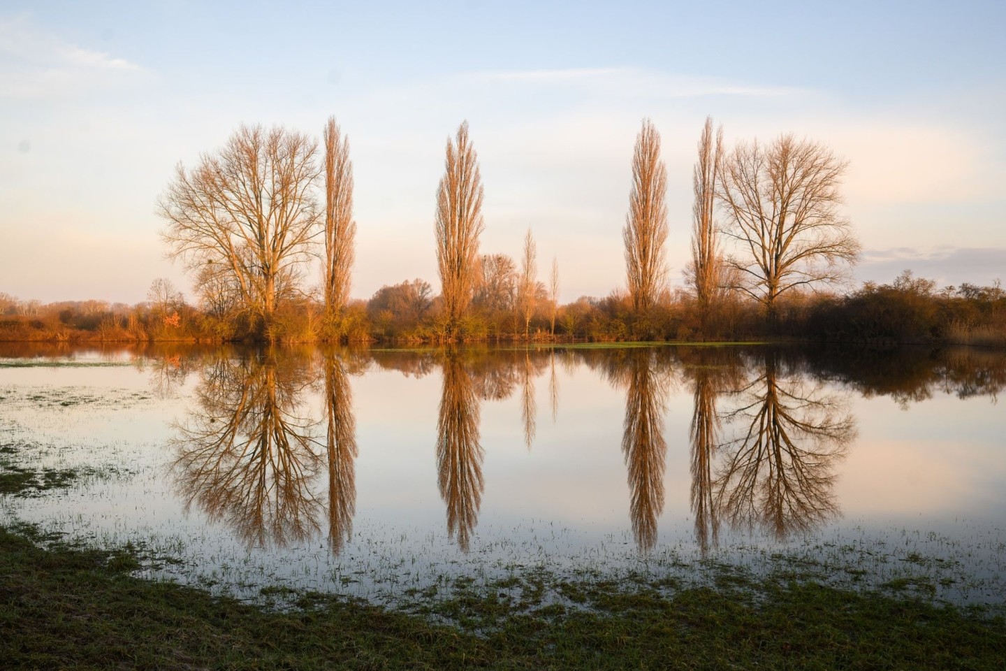 Bäumen spiegeln sich in vom Hochwasser überfluteten Feldern in der Leinemasch im Süden von Hannover.