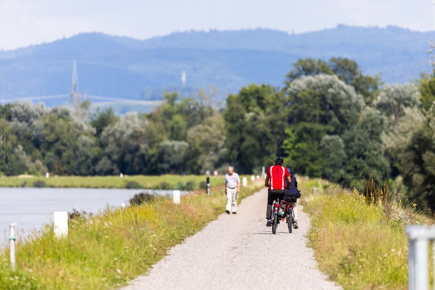 Zwei Radfahrer fahren neben dem Rhein auf einem Weg entlang.