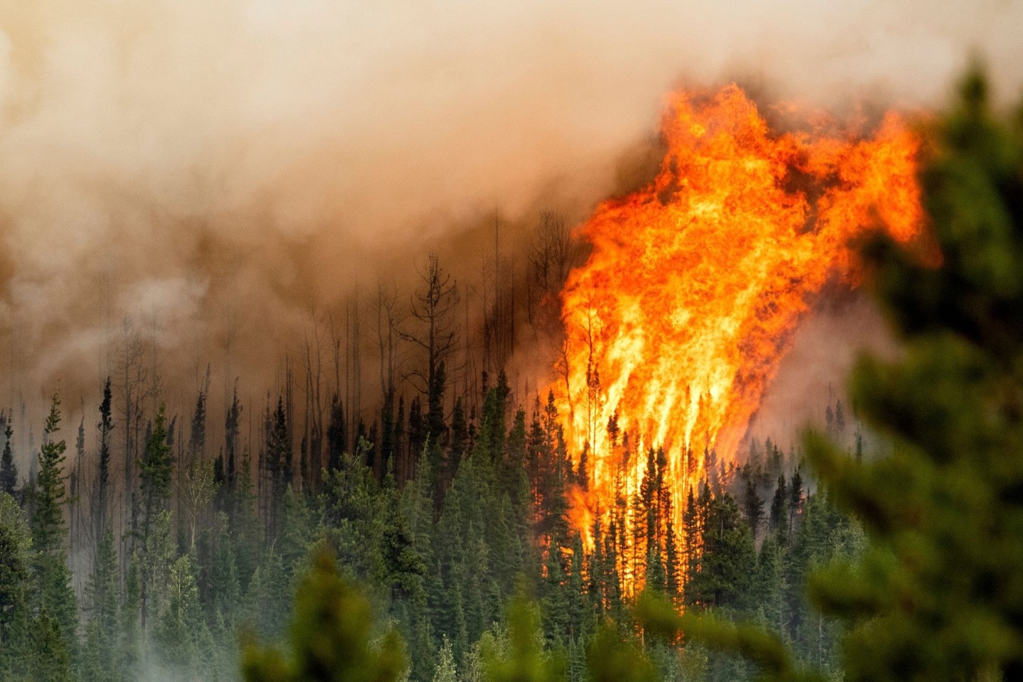 Ein Waldbrand wütet nahe Fort St. John in der kanadischen Provinz British Columbia.