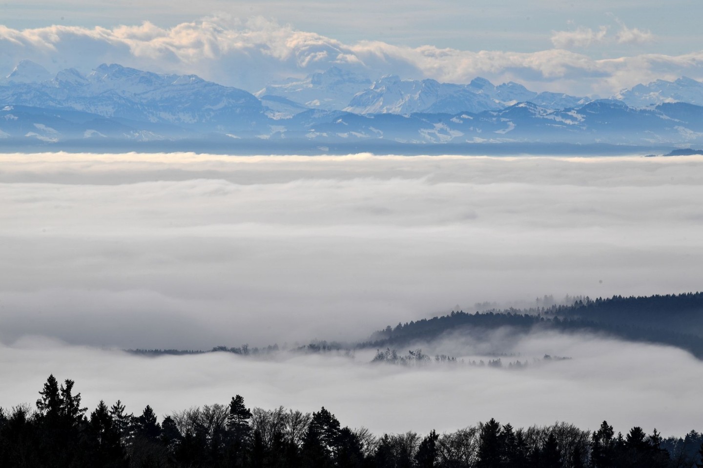 Einen so dichten Nebel sieht man über dem Bodensee immer seltener.