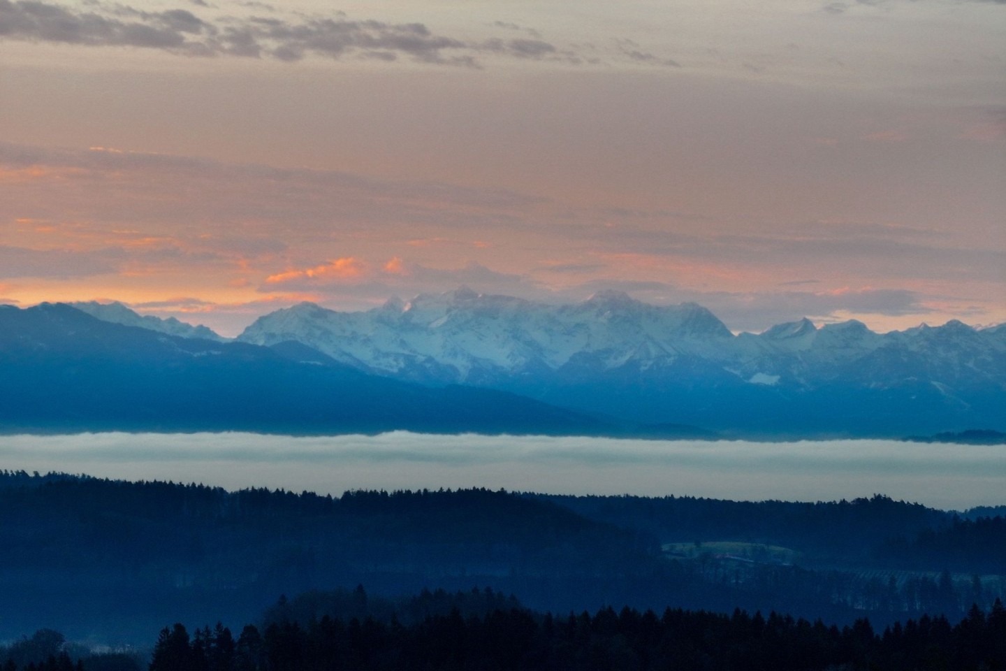 Nebel bedeckt bei Sonnenaufgang den Bodensee, während im Hintergrund die Alpen zu sehen sind.