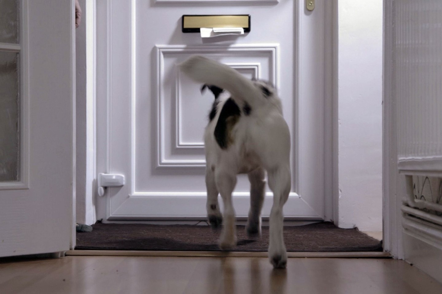 Die Anzahl der Hundeattacken auf «Posties» ist in Großbritannien gestiegen.