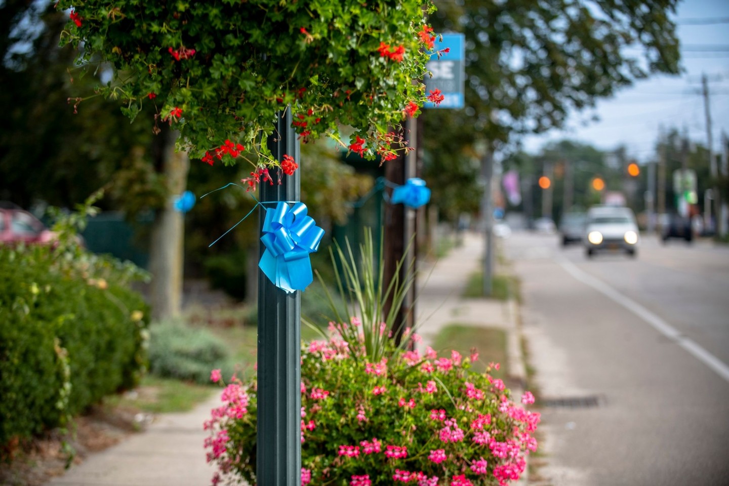 Blaue Schleifen hängen zum Gedenken an Gabby Petito in ihrer Heimatstadt Blue Point.