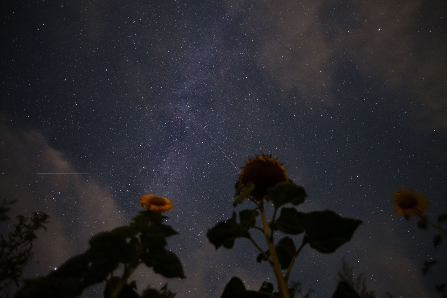 Sternschnuppen der Perseiden sind 2020 neben der Milchstraße am Nachthimmel zu sehen.