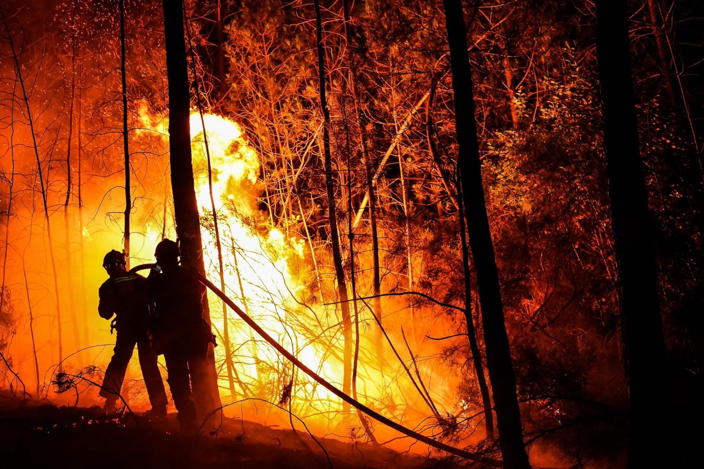 Feuerwehrleute versuchen, einen Waldbrand in der Nähe von Besseges in Südfrankreich zu löschen.