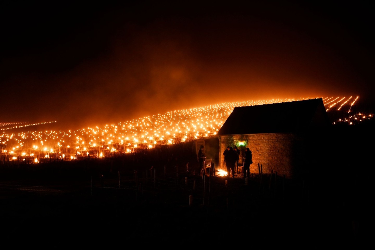 In einem Weinberg im Chablis brennen Anti-Frost-Kerzen. Der Temperatursturz bedroht in ganz Frankreich die Weinberge und andere wichtige Kulturpflanzen.