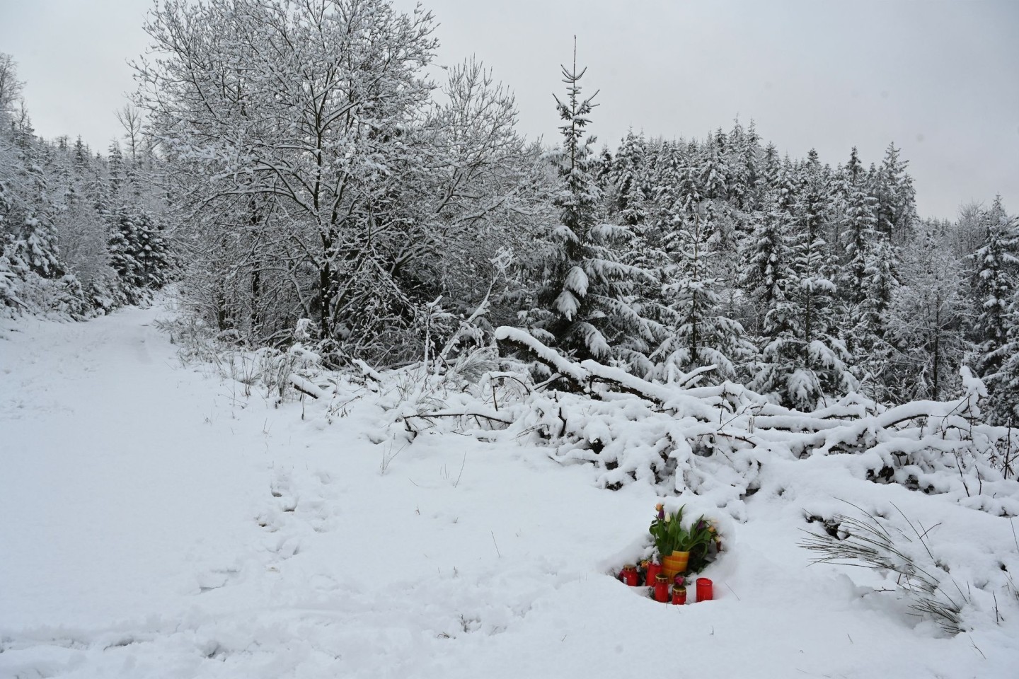 Blumen am Fundort der getöteten Zwölfjährigen.