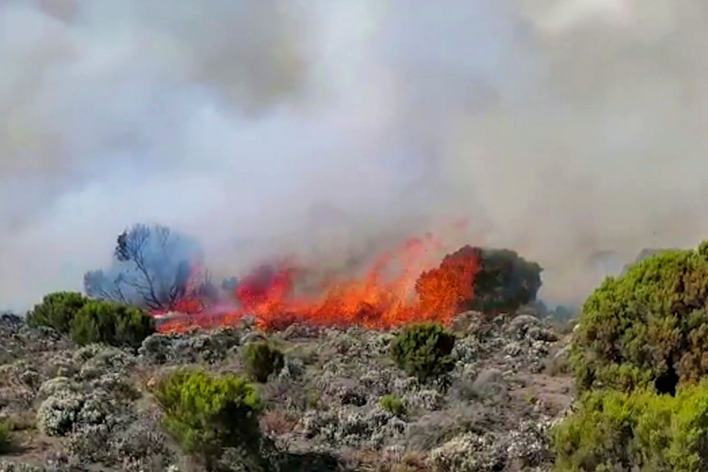 Auf dem höchsten Berg Afrikas wütet seit einigen Tagen ein Feuer.