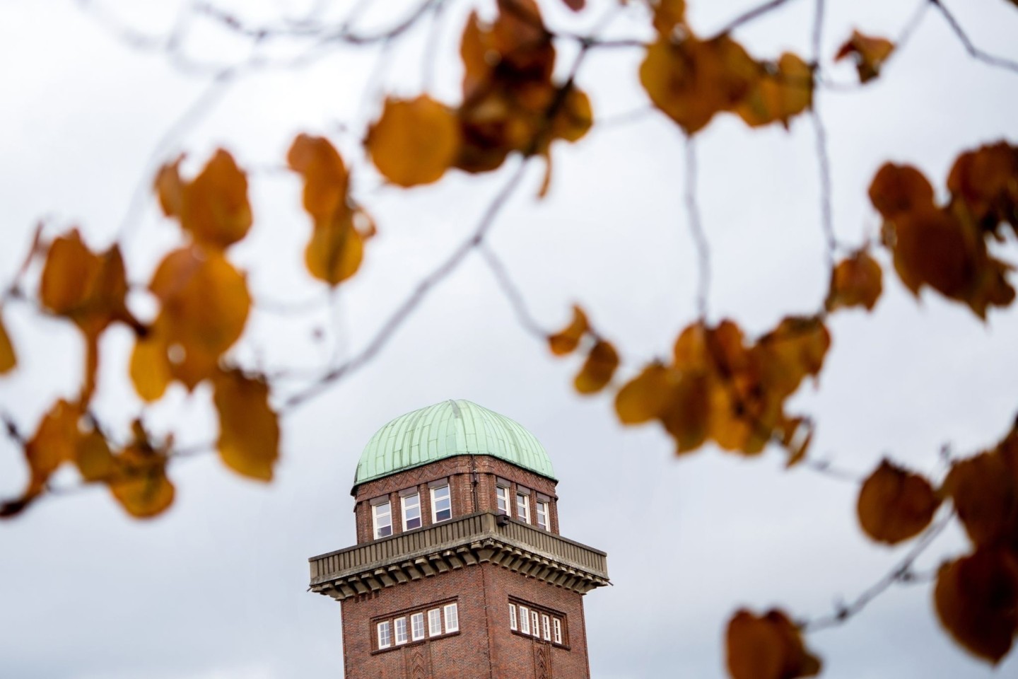 Der ehemalige Wasserturm der Alten Fleiwa steht in trübem Herbstlicht hinter den Blättern eines Baums im Botanischen Garten.