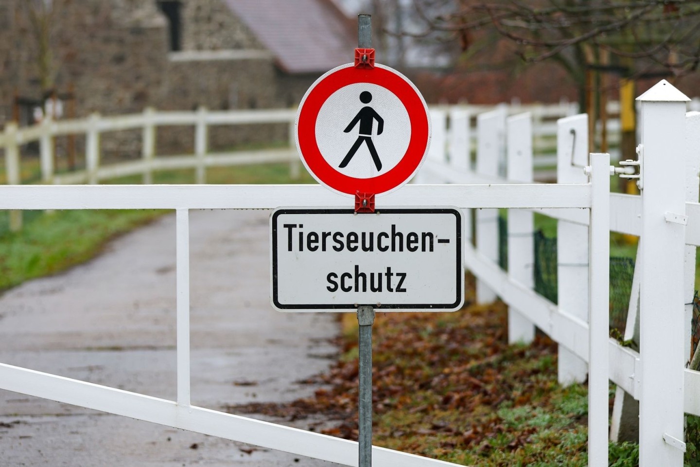 Ein Schild verweist am Eingang zu einer Gänsezucht im sächsischen Wermsdorf auf den Tierseuchenschutz.