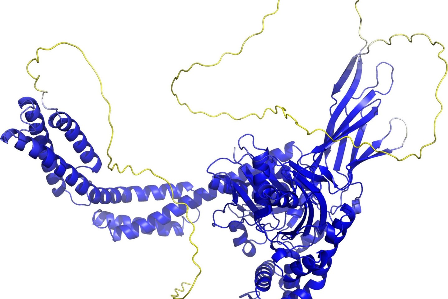 Von einem Computerprogramm errechnetes Rückgrat einer Proteinstruktur. Sogenannte Sekundärstrukturelemente sind als Bänder wiedergegeben. Die gelben Bereiche sind wahrscheinlich flexibel,...