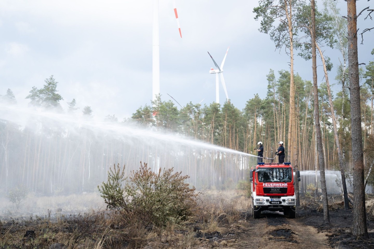 Die Feuerwehr löscht im sächsischen Waldbrandgebiet.