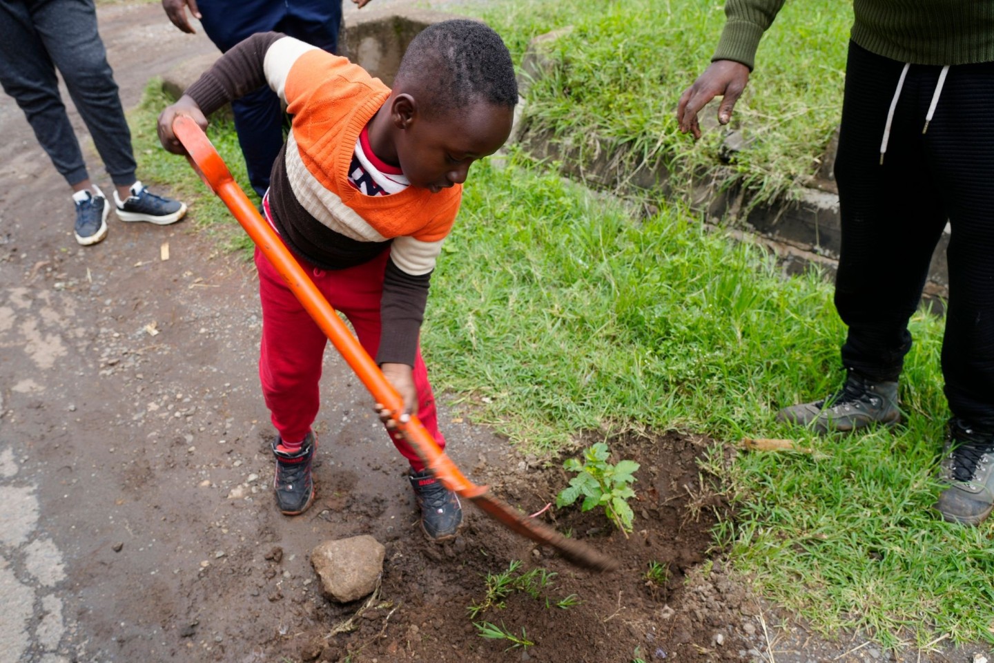 Auch er packt mit an: Der 5-jährige Tzuriel Kipngeno pflanzt in Nairobi einen Casaurina-Baum am Straßenrand.