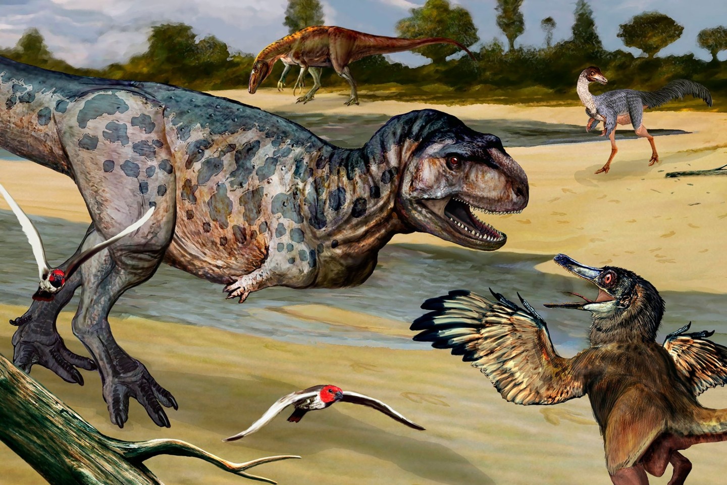 Eine undatierte Zeichnung einer bislang unbekannten Dinosaurier-Art (l.), die im Süden von Argentinien entdeckt wurde.