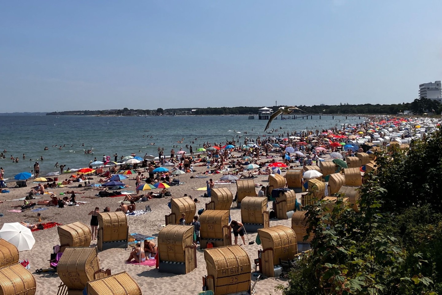 Bei schönstem Sommerwetter genießen zahlreiche Urlauber die Strände der Ostsee.
