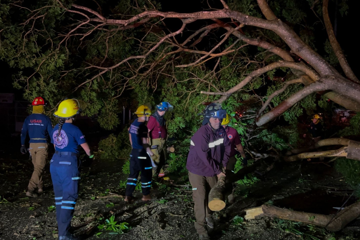 Feuerwehrleute in Mexiko entfernen Bäume, die auf einer Straße liegen.