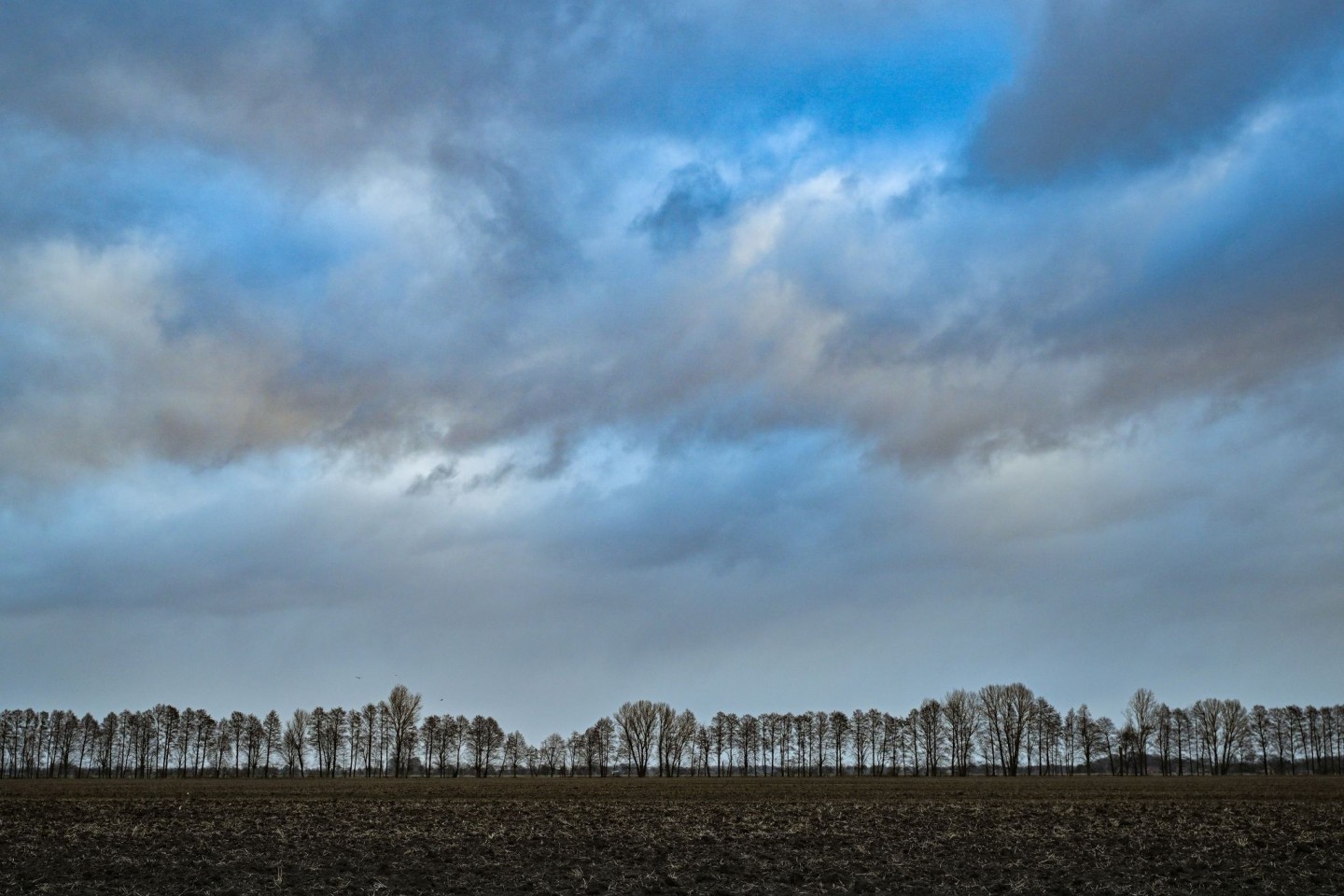 Wolken ziehen über die Landschaft im Oderbruch im Osten von Brandenburg.