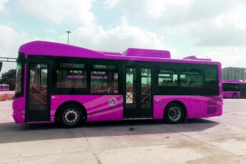 Pakistan führt erste Buslinien für Frauen ein 