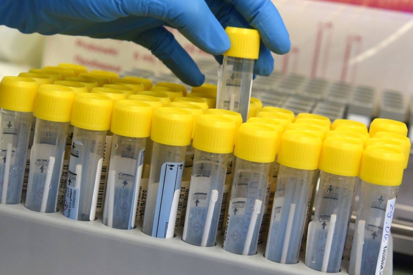 Im PCR-Labor bereitet eine medizinisch technische Laborassistentin die Bearbeitung von PCR-Tests vor.