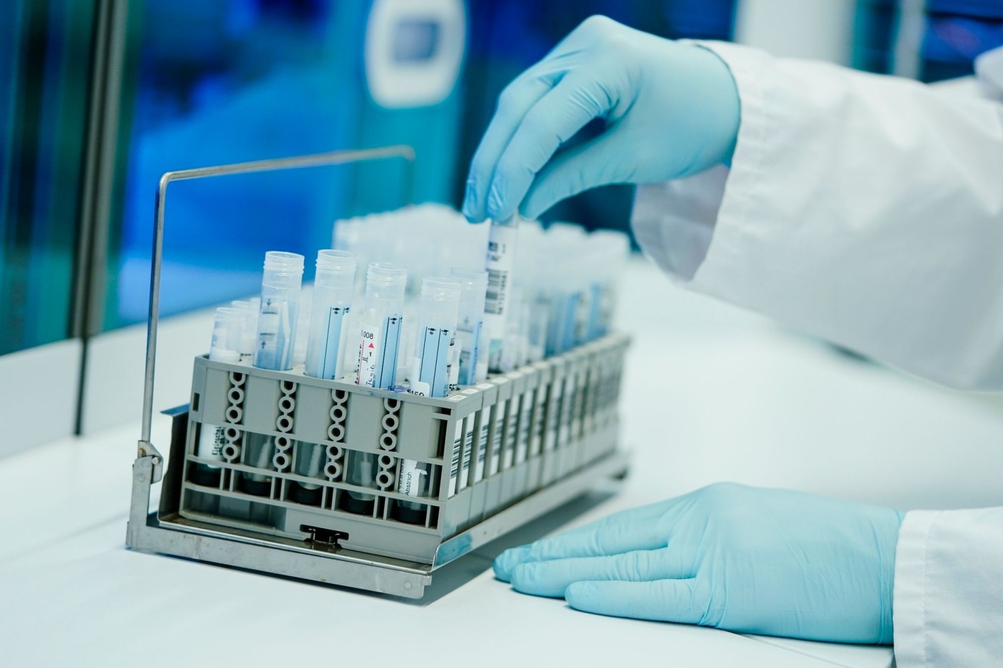 Ein Mitarbeiter bereitet in einem Heidelberger Labor PCR-Teströhrchen vor.