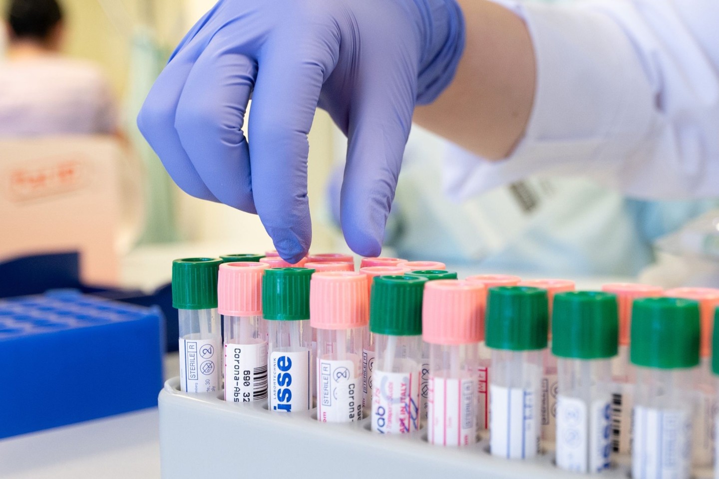 Mitarbeiterinnen arbeiten im Medizinischen Labor Ostsachsen mit PCR-Test.