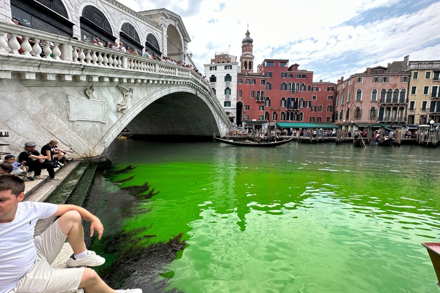 Der Canale Grande ist auf einmal grün.