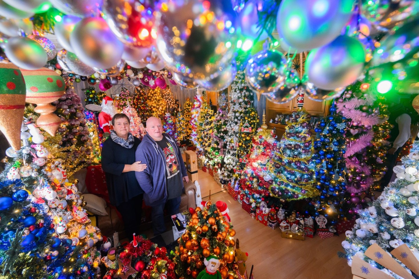 Mehr Weihnachten geht kaum: Susanne und Thomas Jeromin stehen inmitten von Weihnachtsbäumen im Wohnzimmer ihres Hauses.