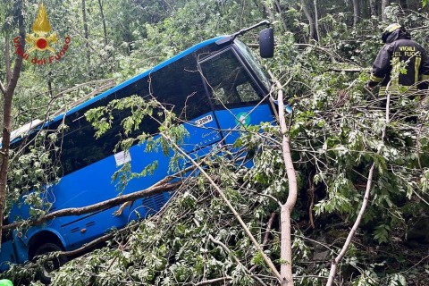 Schulbus in Italien stürzt in Waldhang