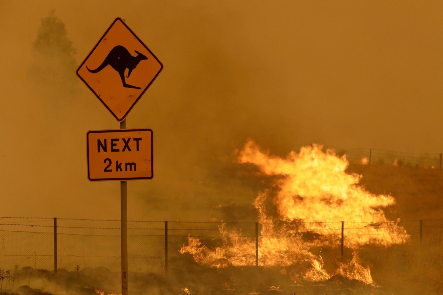 Feuer brennt im Gras in der Nähe von Bumbalong, südlich der australischen Hauptstadt Canberra.