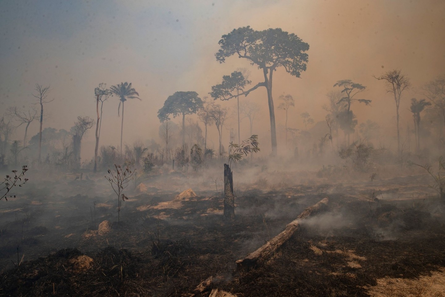 Rauch steigt während eines Brandes im Amazonas-Gebiet auf.