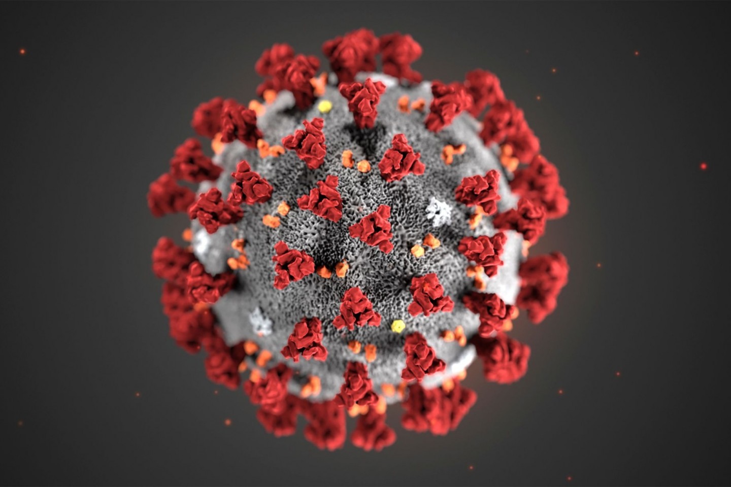 Je «schöner» eine bildliche Darstellung des Coronavirus ausfällt, als desto weniger ansteckend wird das Virus empfunden.