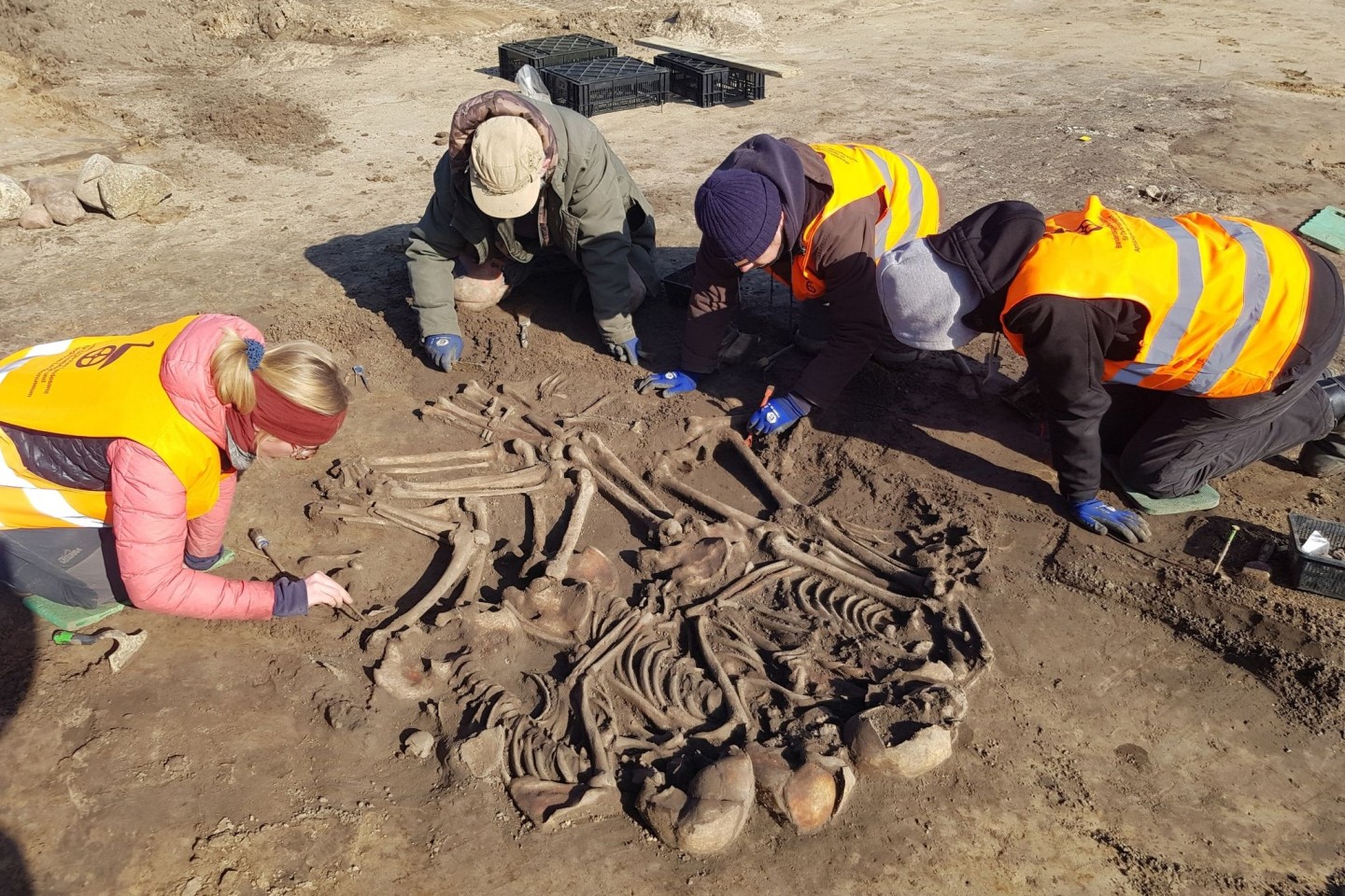 Archäologen haben bei Wustermark im Landkreis Havelland eine Jahrtausende alte Grabstätte mit Überresten mehrerer Menschen entdeckt.