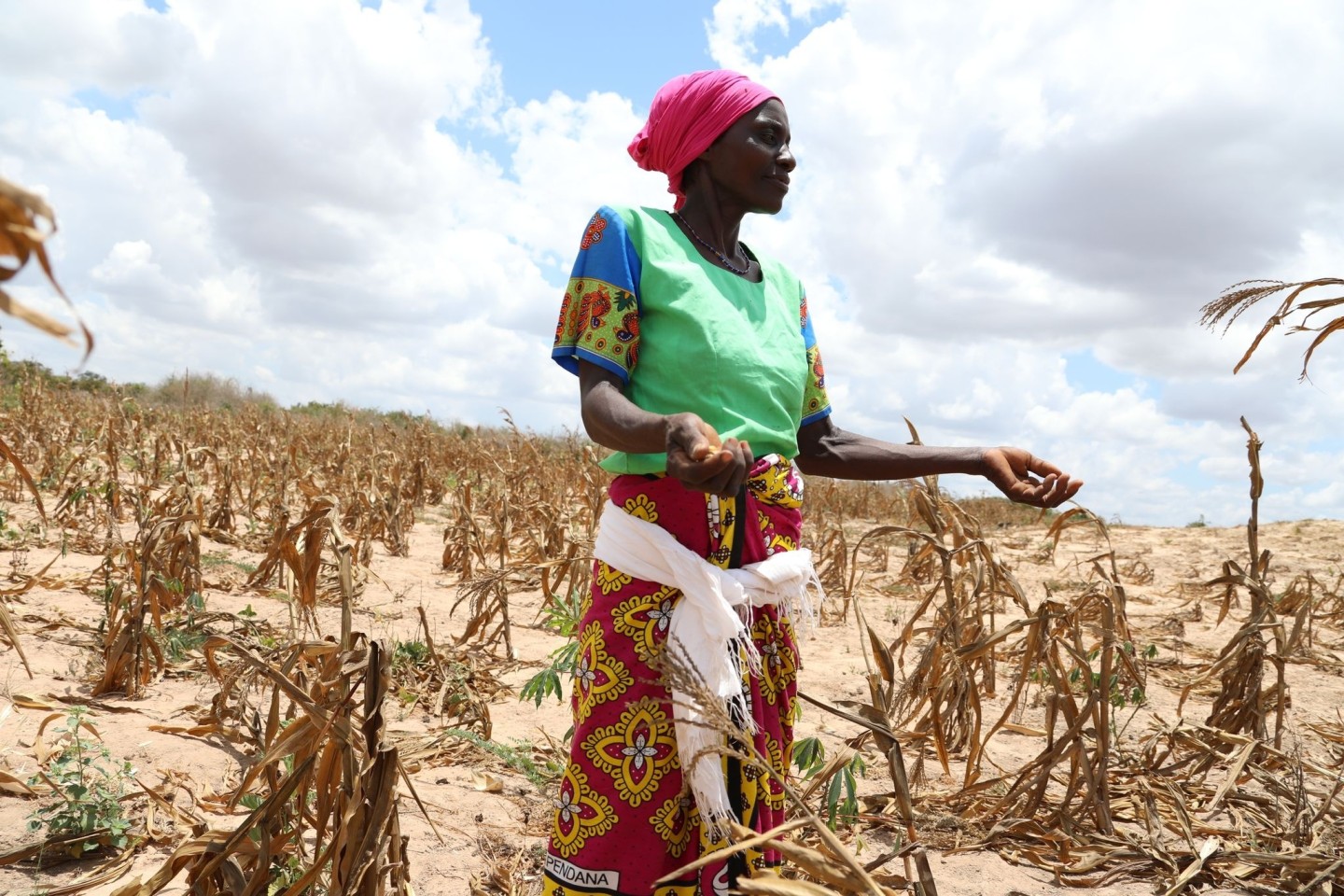 Kenia kämpft mit der dritten Dürre innerhalb eines Jahrzehnts - der Krieg in der Ukraine verschlimmert die ohnehin katastrophale Situation.
