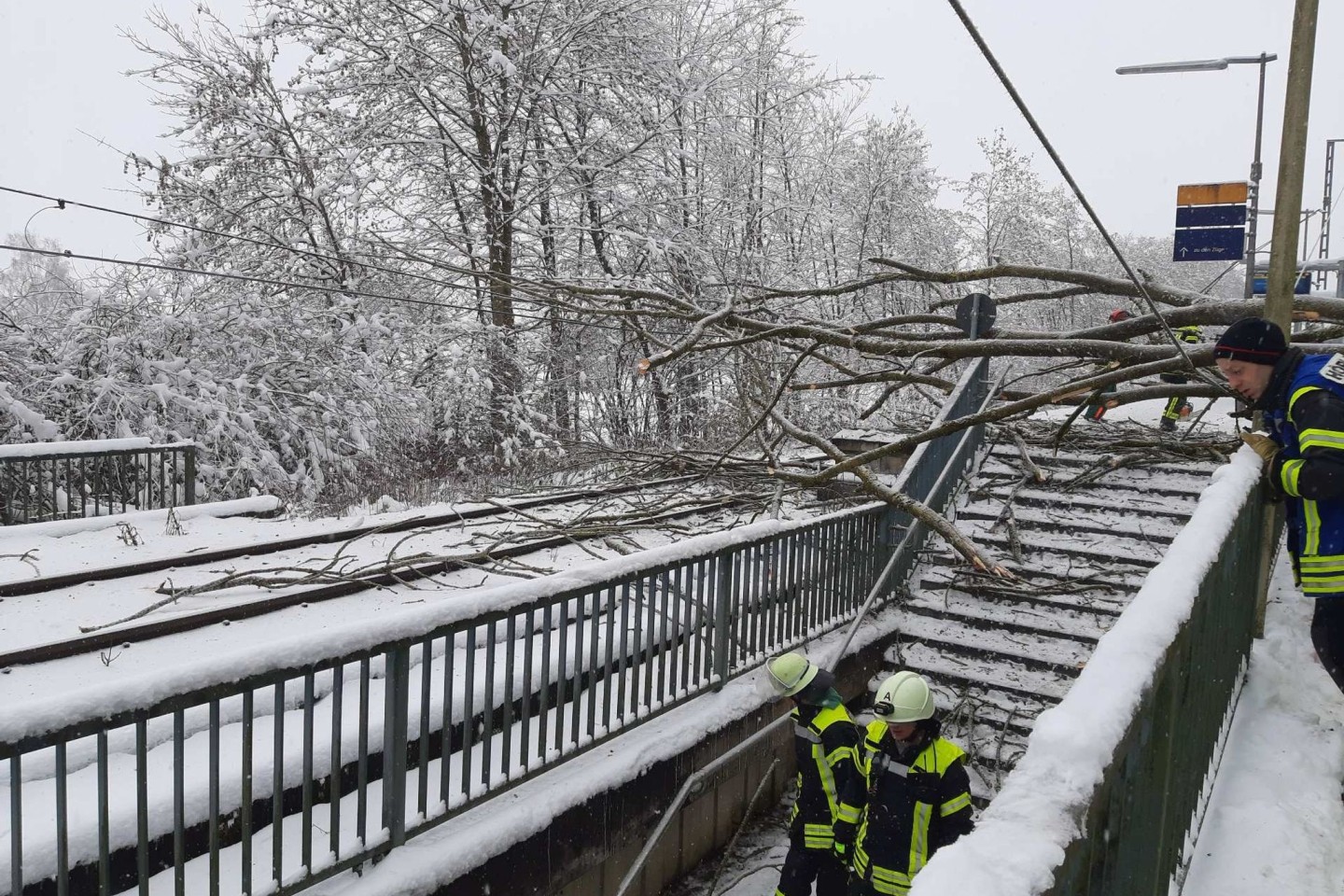 Ein umgestürzter Baum an der S-Bahnhaltestelle St. Koloman in Wörth sorgt für Verletzungen.