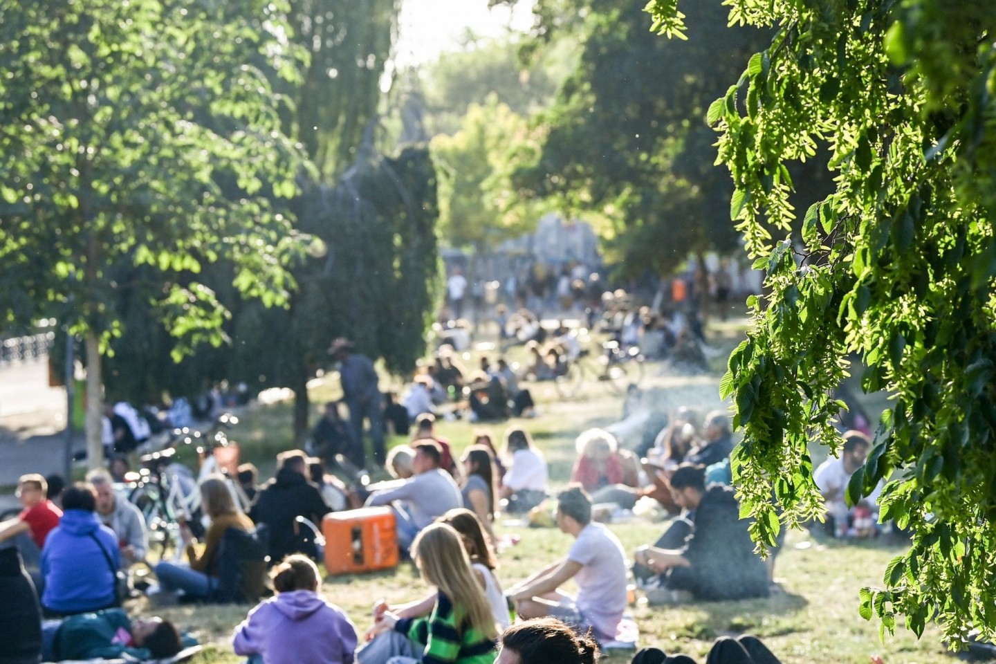 Zahlreiche Menschen sitzen im Licht der untergehenden Sonne auf einer Wiese im James-Simon-Park. Abends und nachts soll der Besuch künftig nicht mehr erlaubt sein.