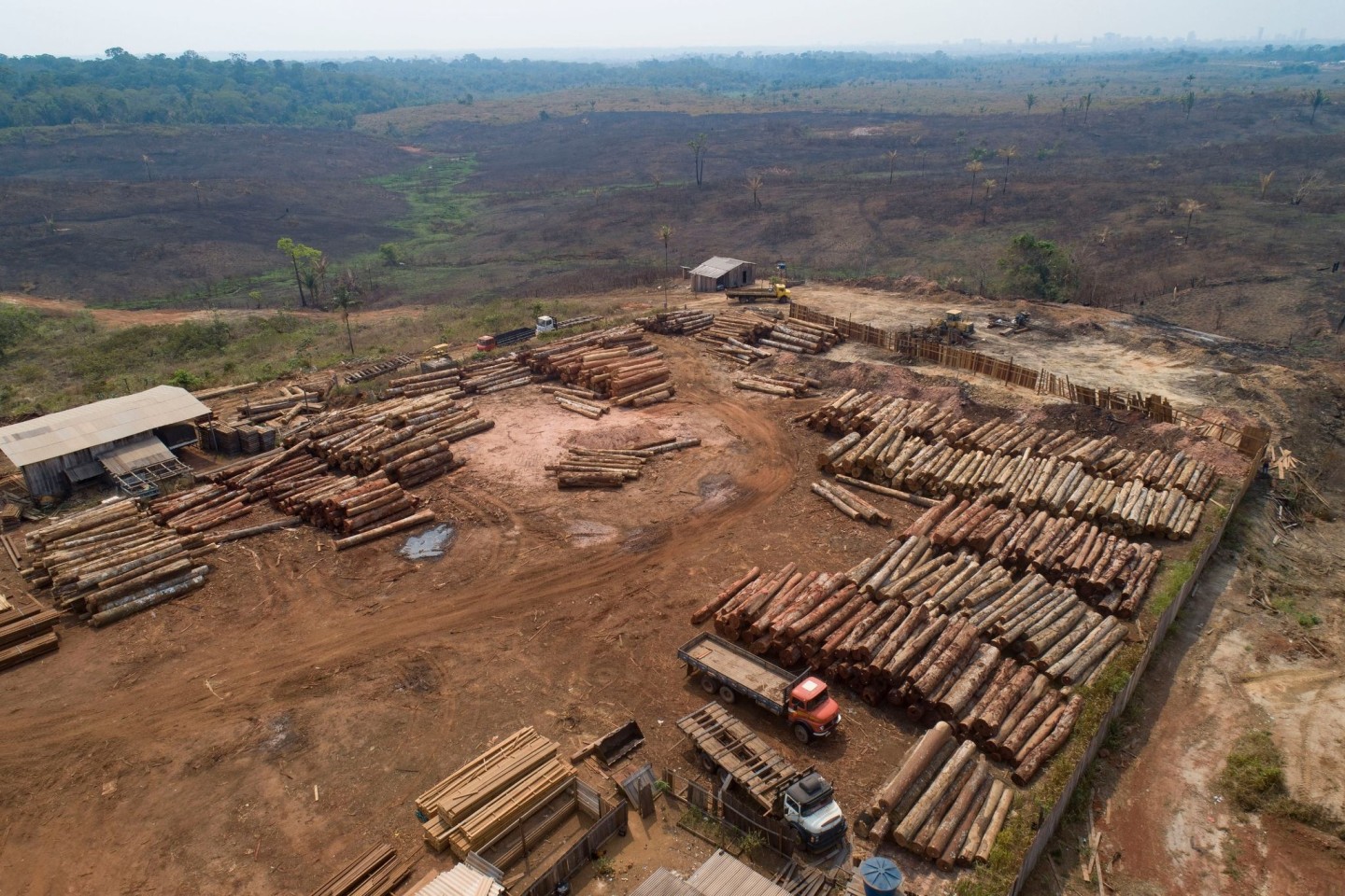 Holzstämme in einem Sägewerk in Brasilien: Die Menschheit hat die für dieses Jahr verfügbaren natürlichen Ressourcen der Erde bereits verbraucht.