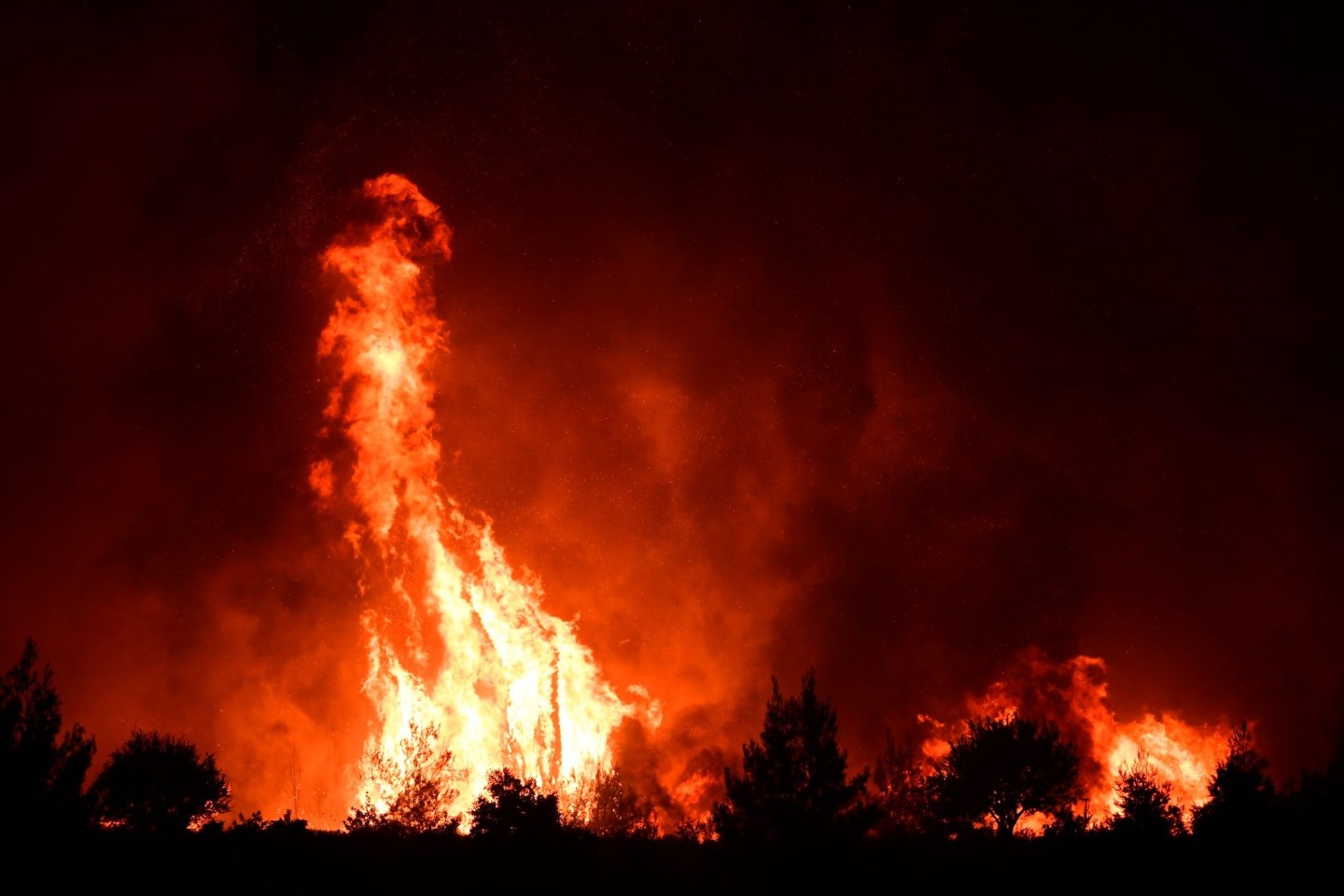 Flammen verbrennen einen Wald in der Nähe des Dorfes Galatsona auf der Insel Euböa, etwa 188 Kilometer nördlich von Athen.