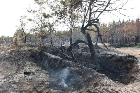 Waldbrand an französischer Atlantikküste unter Kontrolle