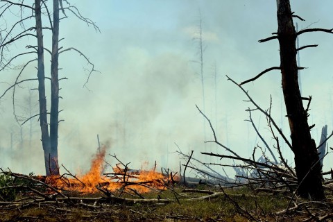 Waldbrand bei Jüterbog dehnt sich stark aus