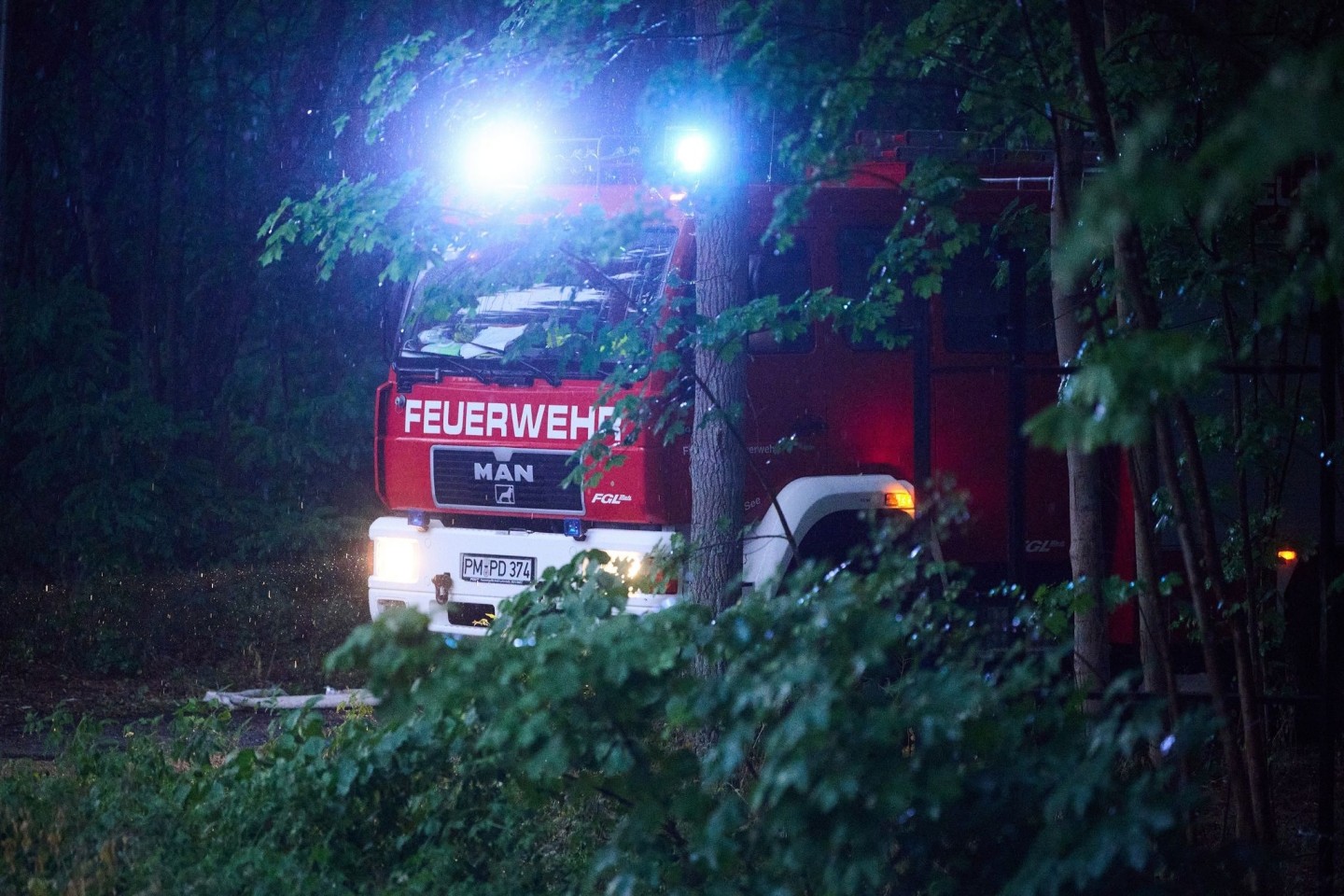 Das Blaulicht eines Feuerwehrfahrzeugs leuchtet in den frühen Morgenstunden im Waldstück zwischen Treuenbriezen und Beelitz.