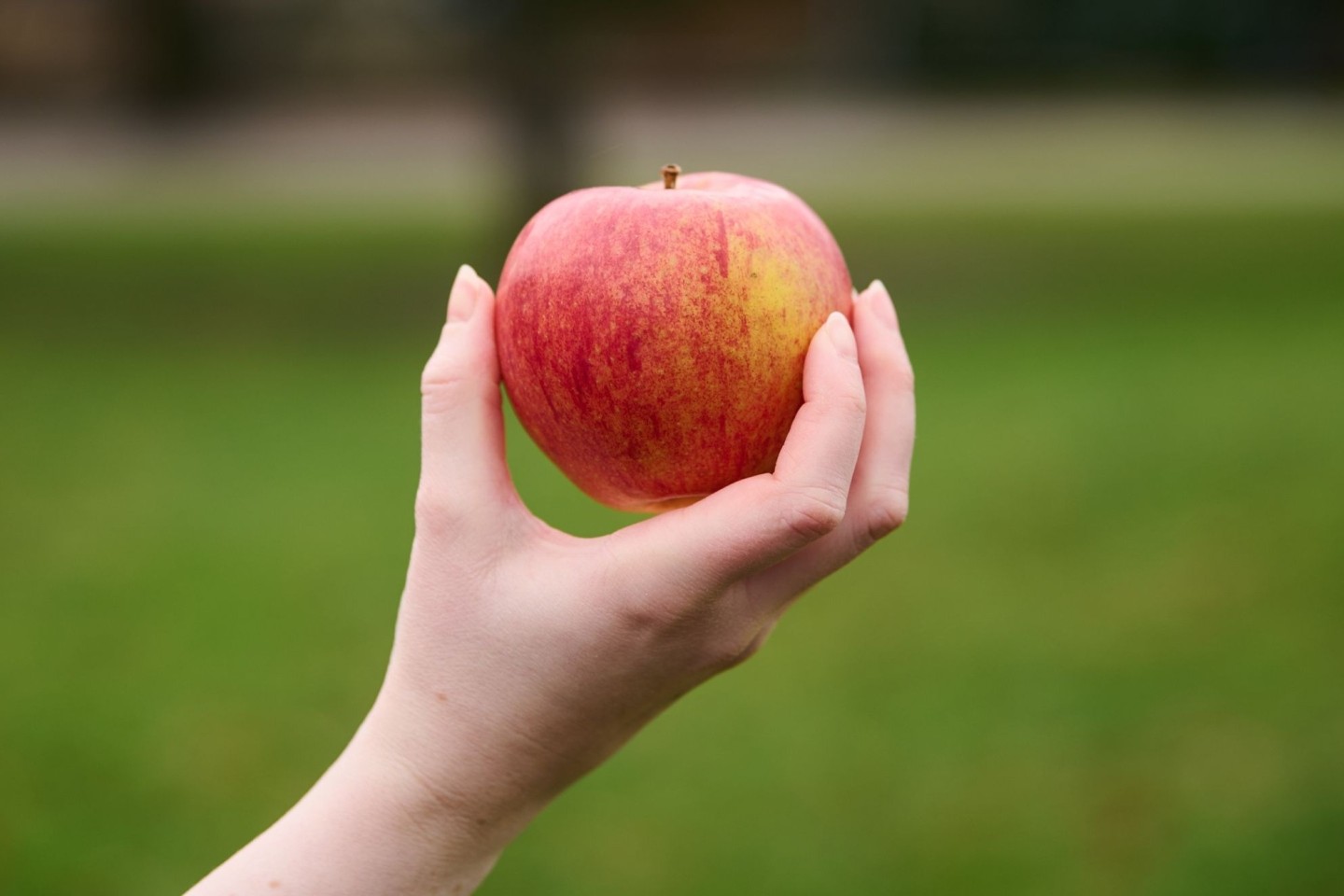 Äpfel sind nicht nur gesund, sondern spielen auch in der Kulturgeschichte eine große Rolle.