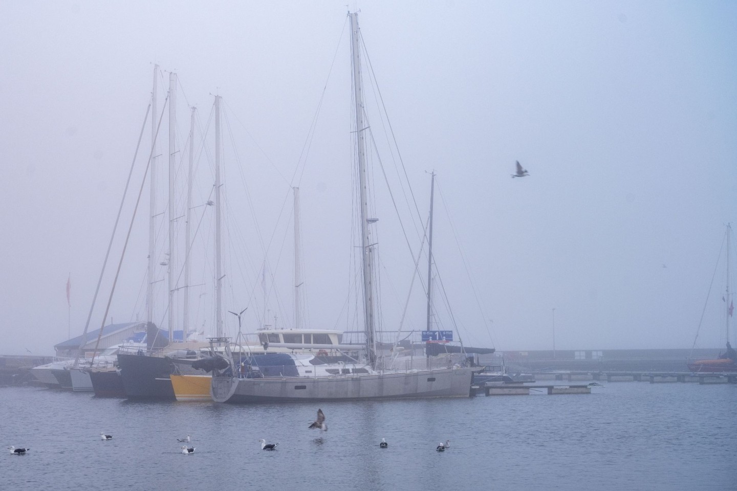 Boote liegt im Hafen vor Anker in Stralsund: Das Wetter in Mecklenburg-Vorpommern zeigt sich den kommenden Tagen eher von der grauen und bewölkten Seite.