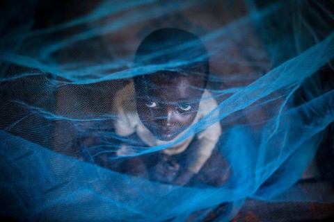 Weniger Malaria in Afrika?
