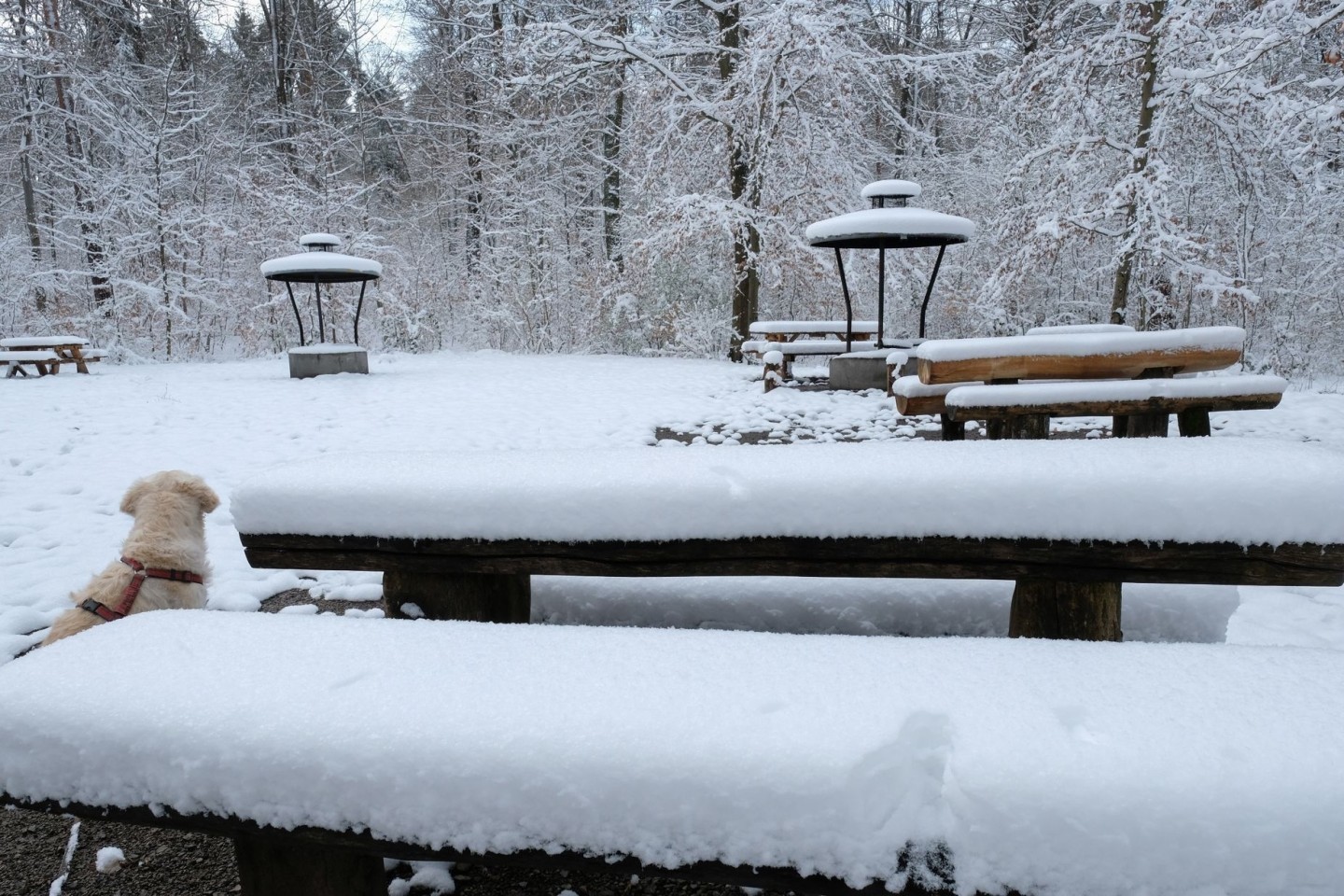 In Baden-Württemberg - wie hier in Stuttgart - fiel am meisten Schnee.