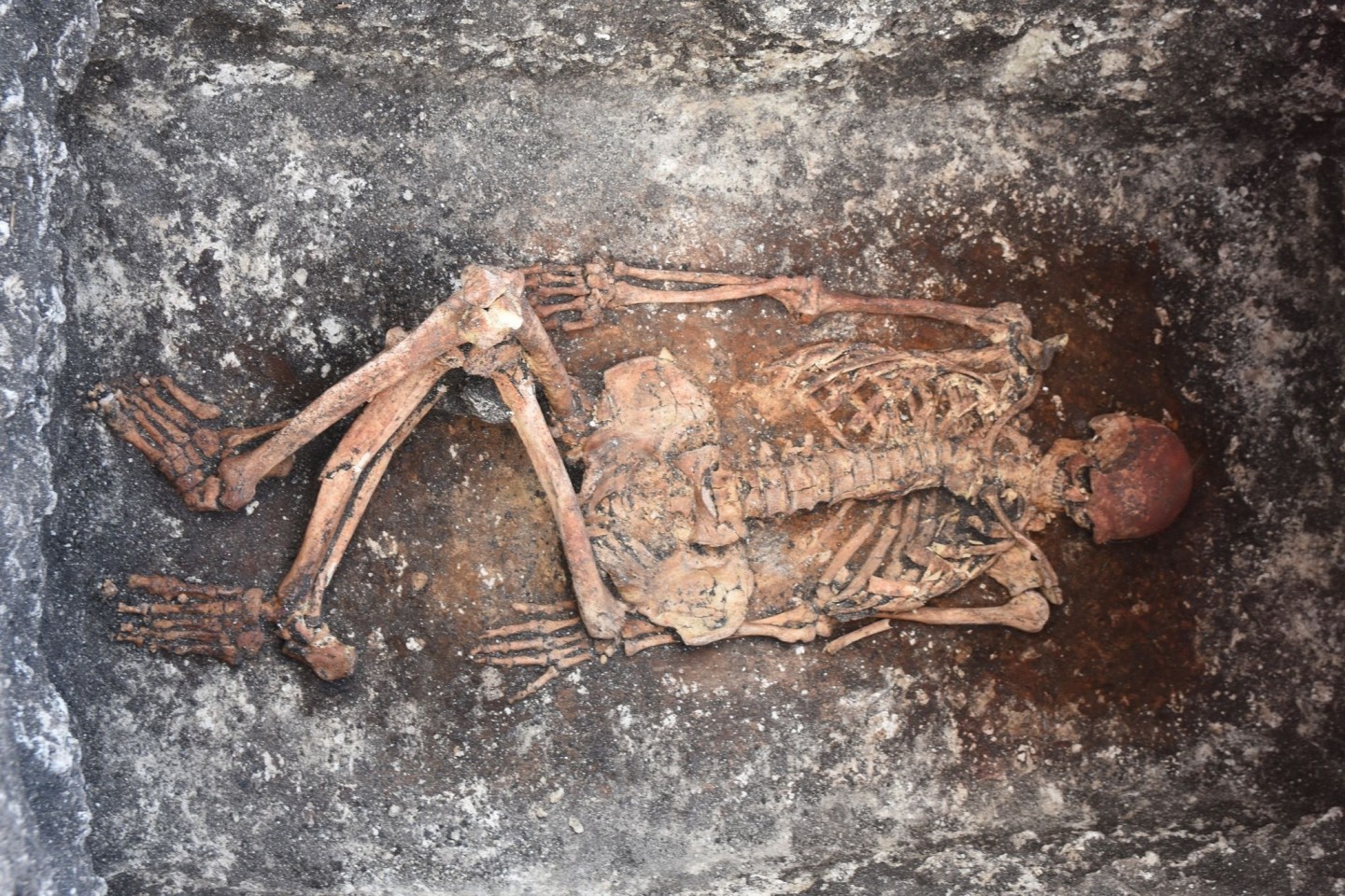 Dieses Skelett eines Reiters wurde im bulgarischen Malomirovo entdeckt.