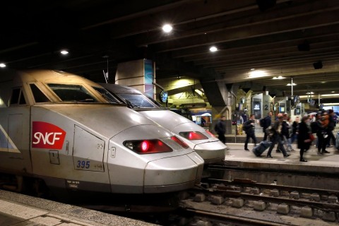 Zug überfährt Hauskatze in Paris - Fall entrüstet Frankreich