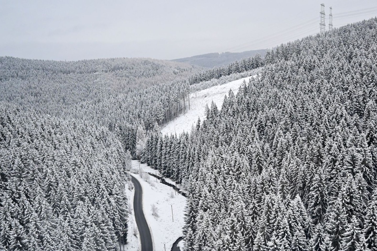 Der Thüringer Wald im Winterkleid (am 9.12.).