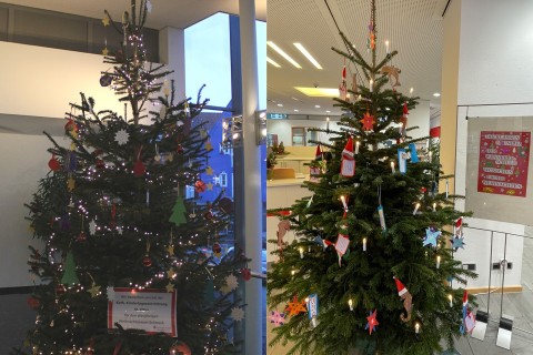 Weihnachtsbäume in den Geschäftsstellen in Rheda und Wiedenbrück festlich geschmückt